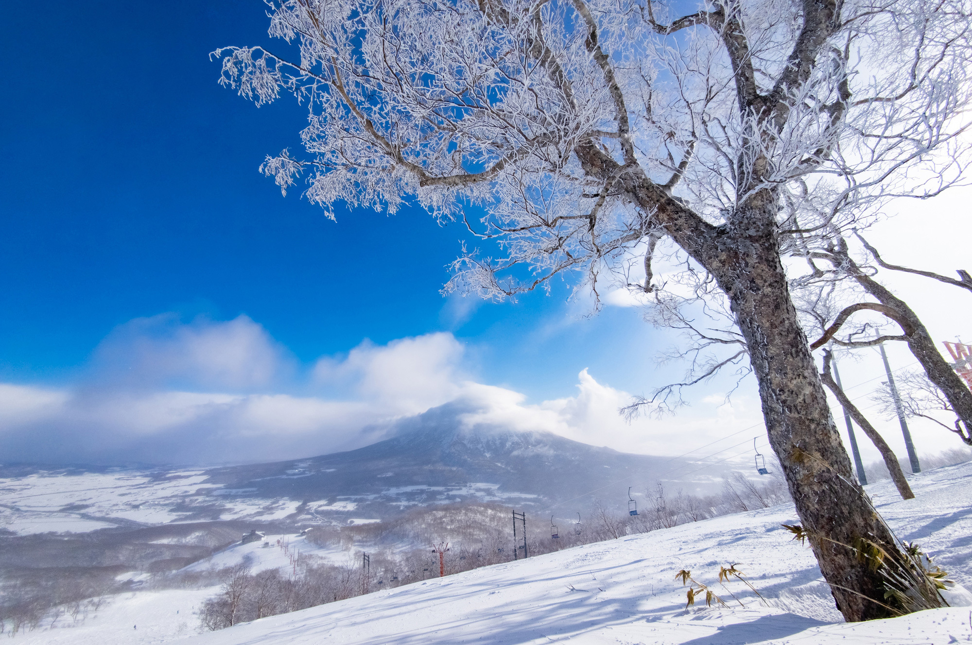 3-6. To a Beautiful Silver Future: Garbage Manners that Show Respect for Nature