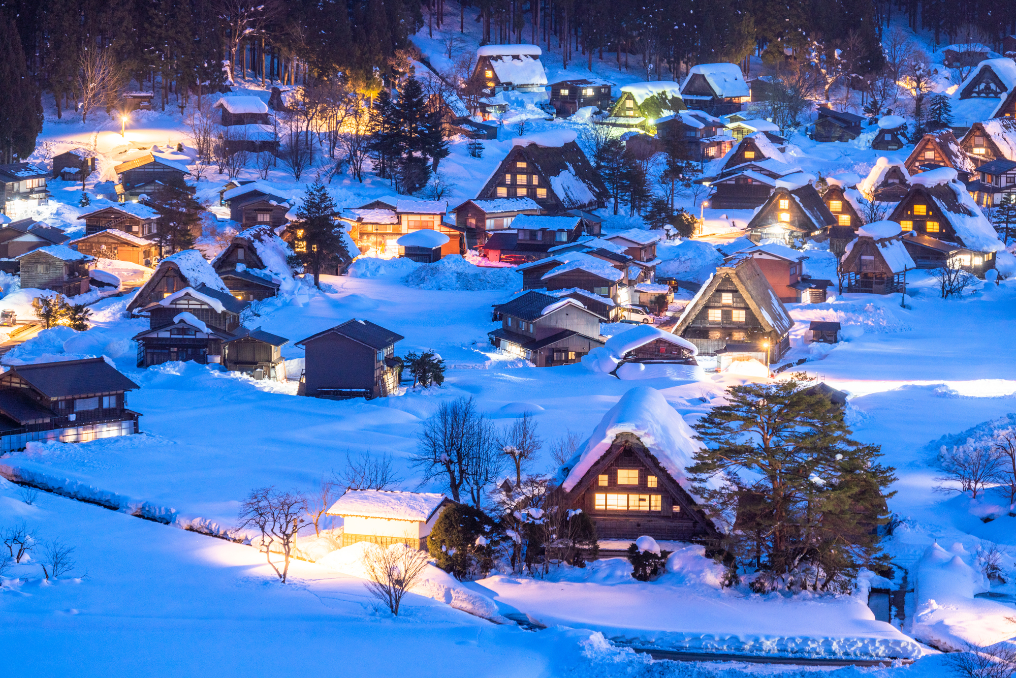 Shirakawa-go illuminated at night in winter
