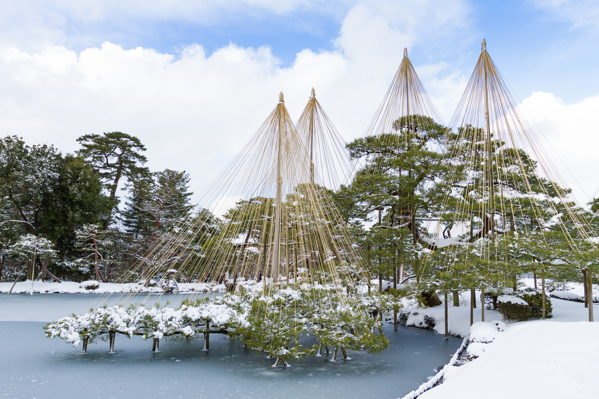 Kenroku-en Garden in winter with Yukitsuri ropes on the trees