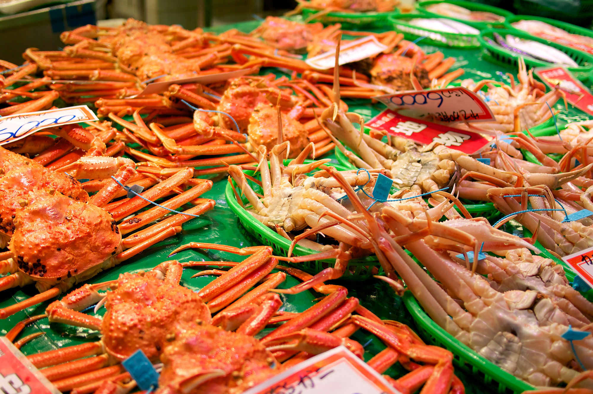4-2. The Kings of Winter Delicacies: Savoring Kano-gani Crab and Kan-buri Yellowtail