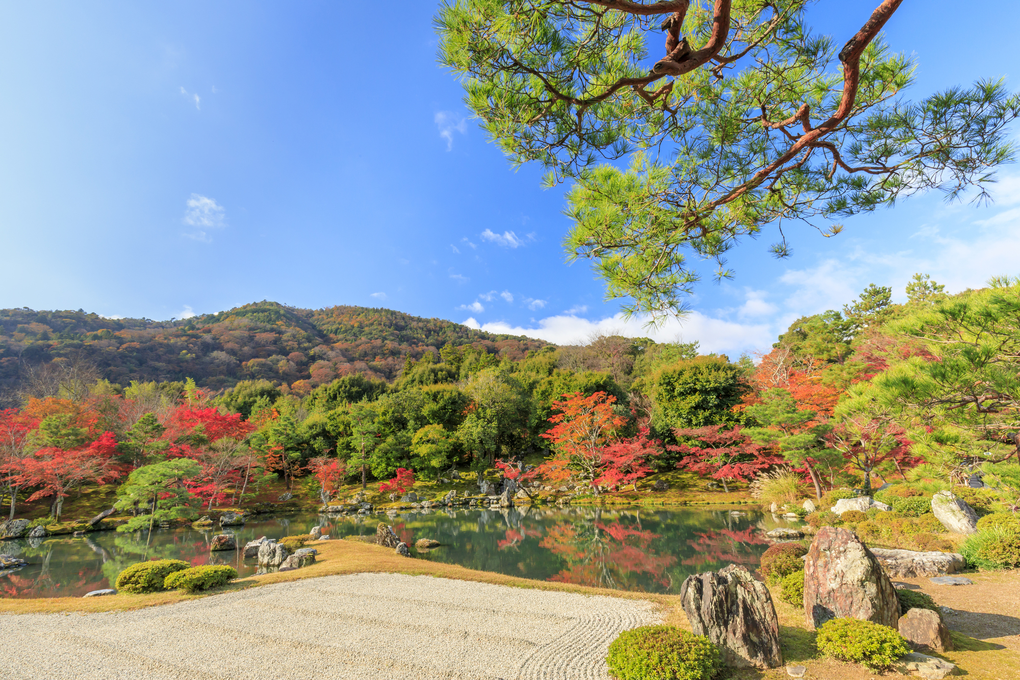 1-2. The Spirit of Zen and Garden Beauty: Arashiyama's Cultural Heritage and World Heritage
