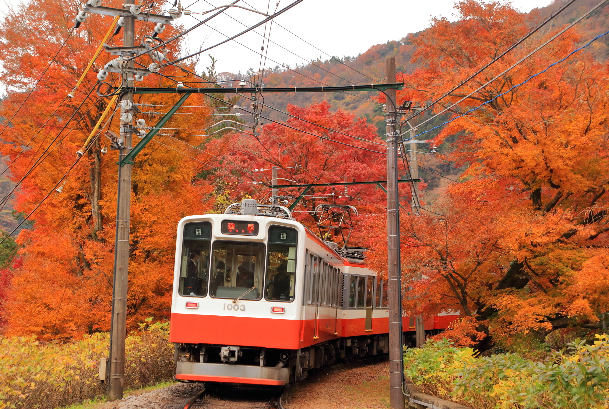 2-2. Getting Around Hakone: The Rides Are Part of the Attraction