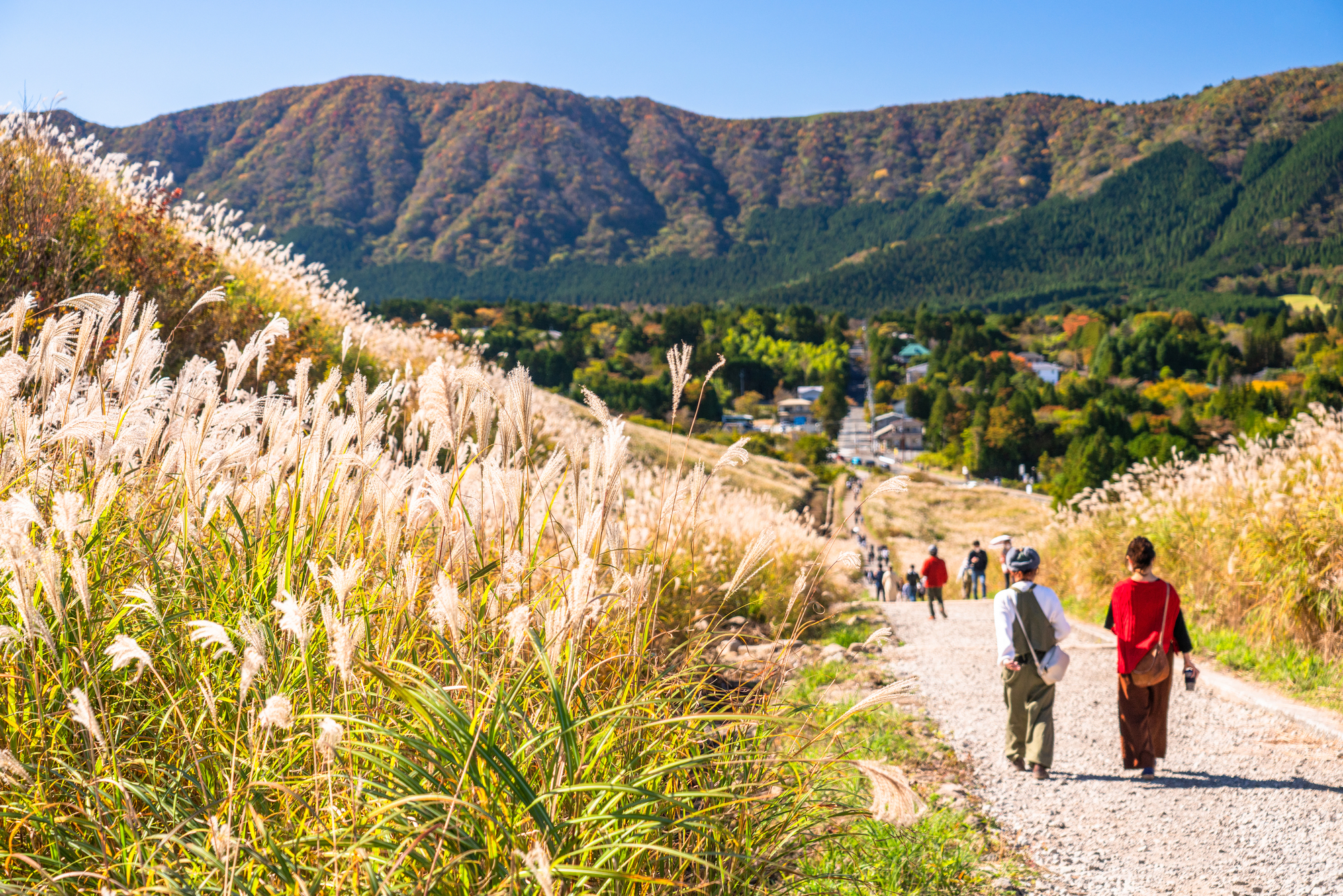 Gora & Sengokuhara Areas: Quietly Enjoying Grand Nature and Art