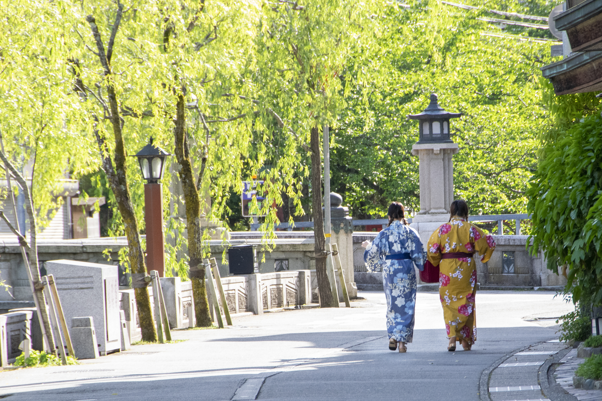 People in Yukata strolling along the willow-lined river in Kinosaki Onsen