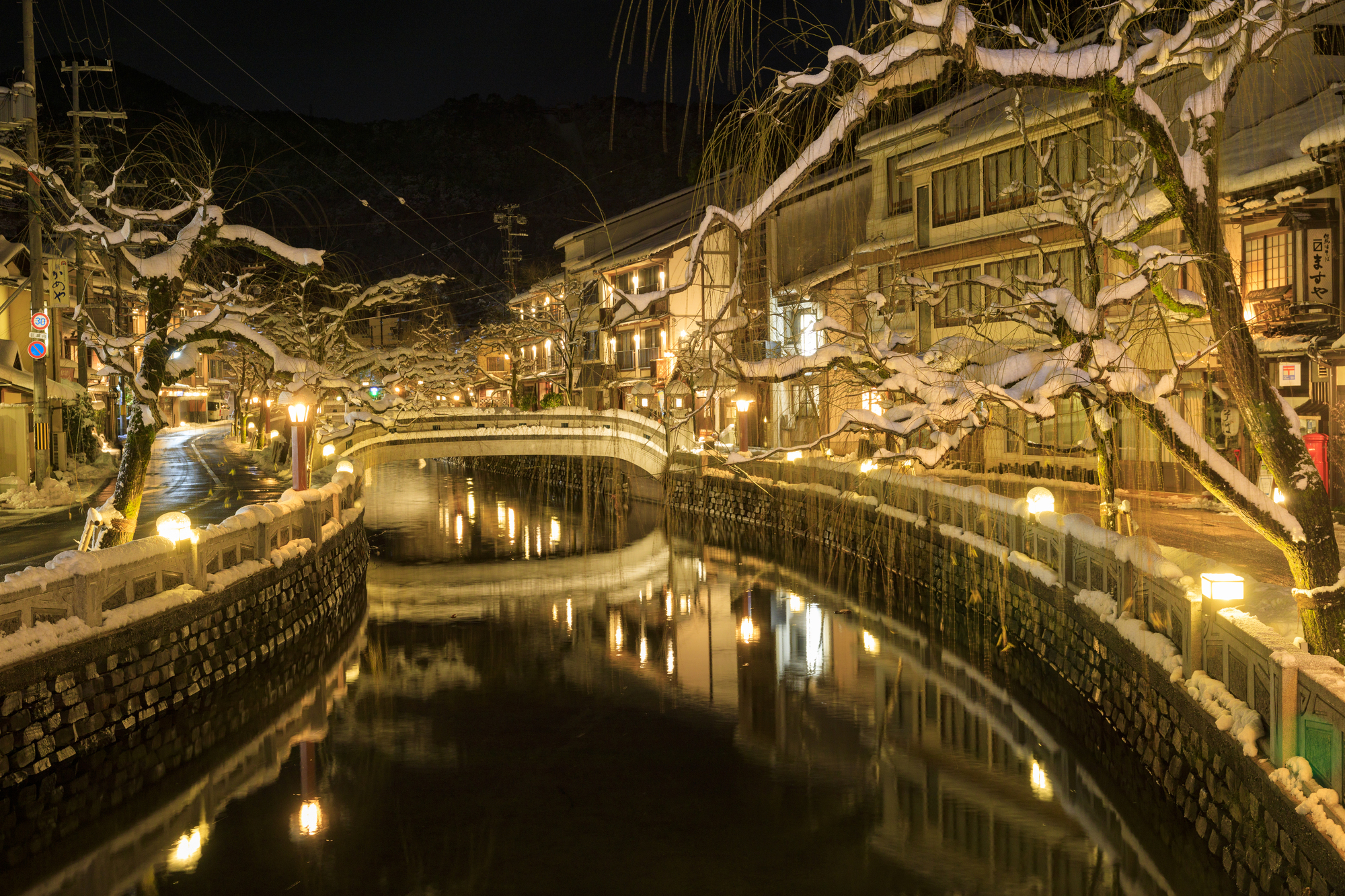 Night view of Kinosaki Onsen with its arch bridge and willow trees