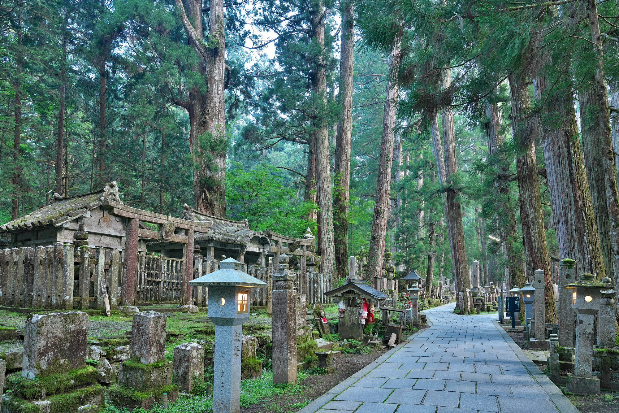 Welcome to Koyasan, the Religious City Above the Clouds