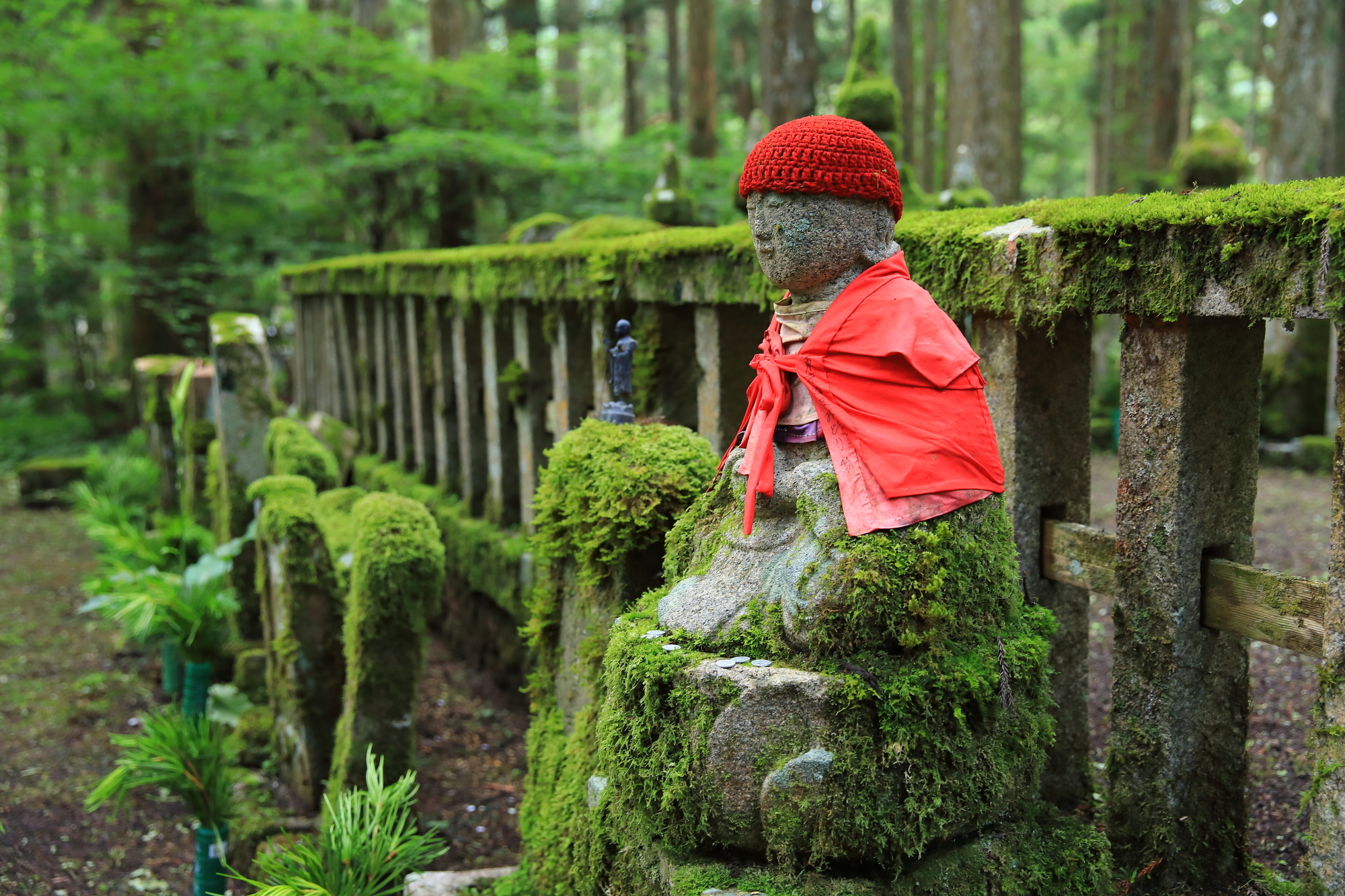 3-1. Okunoin Area: Conduct in the Most Sacred Place