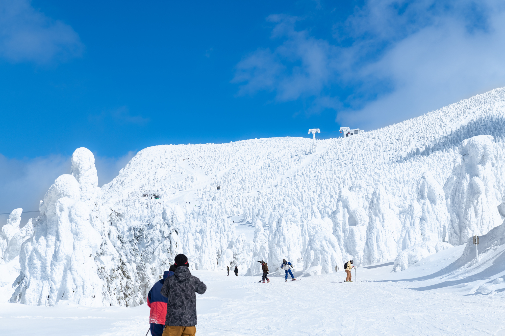 Juhyo (Snow Monsters) of Zao, Yamagata