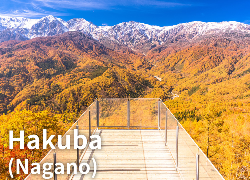 Hakuba（Nagano）