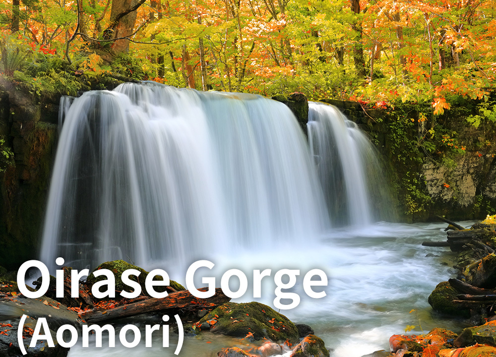 Oirase Gorge（Aomori）