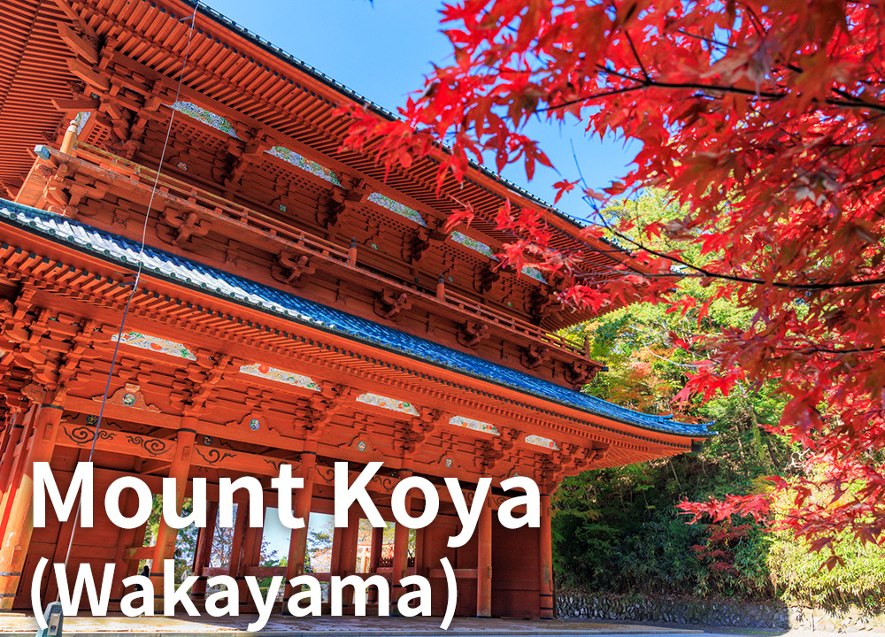 Mount Koya（Wakayama）