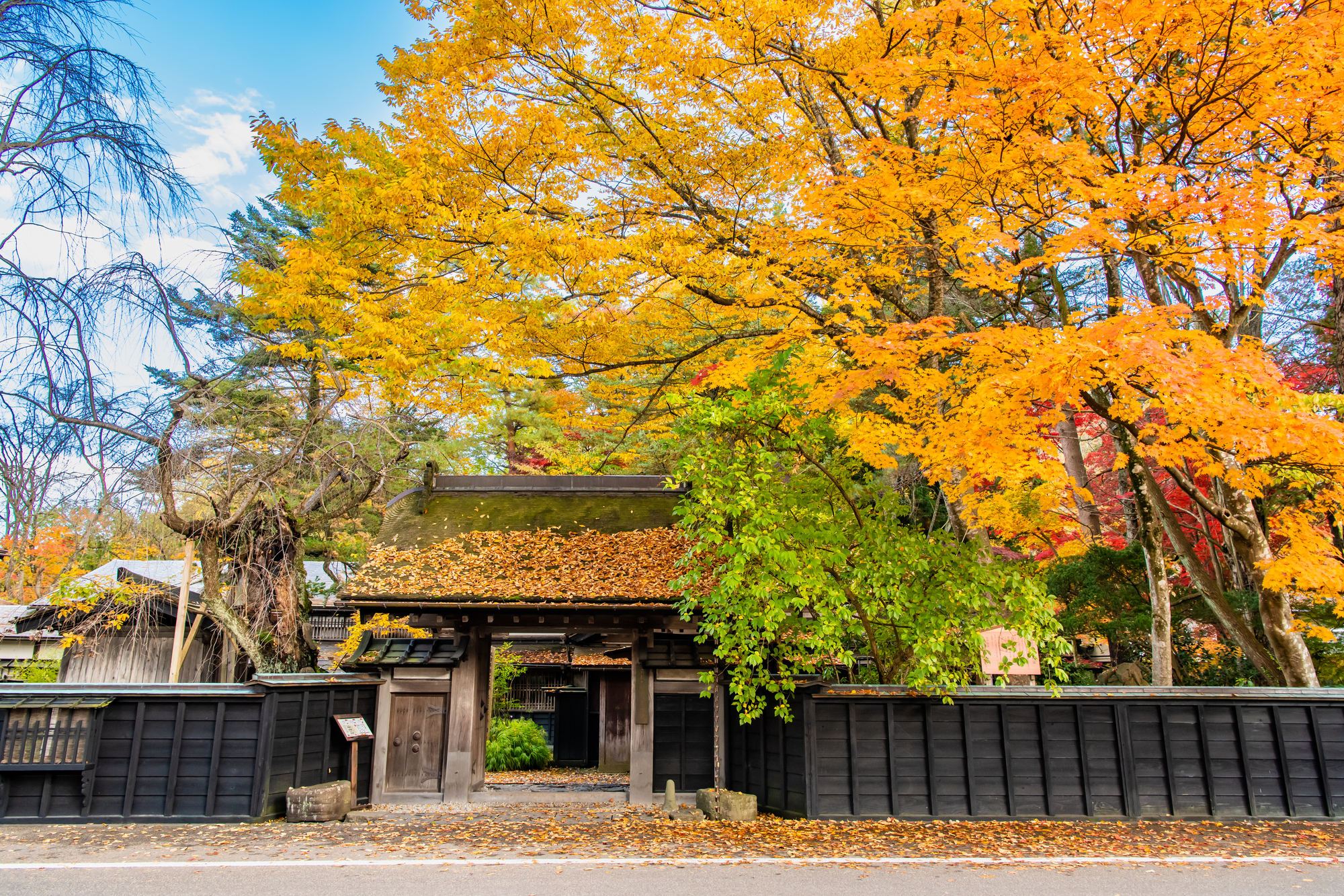 A samurai residence in Kakunodate with autumn leaves