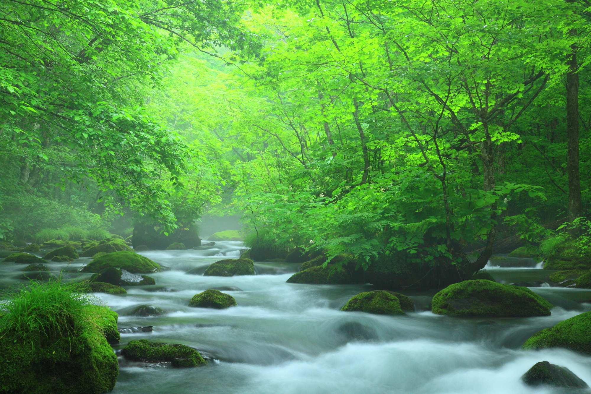 3-7. Enjoying the Silence: A Place Where the Murmur of the Stream is the Main Character