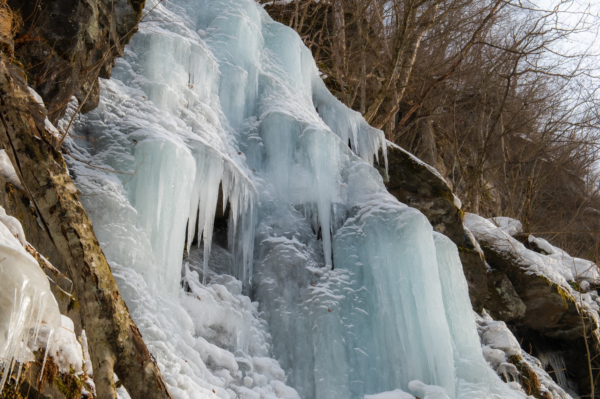 A frozen waterfall (hyobaku) of Oirase Stream in winter