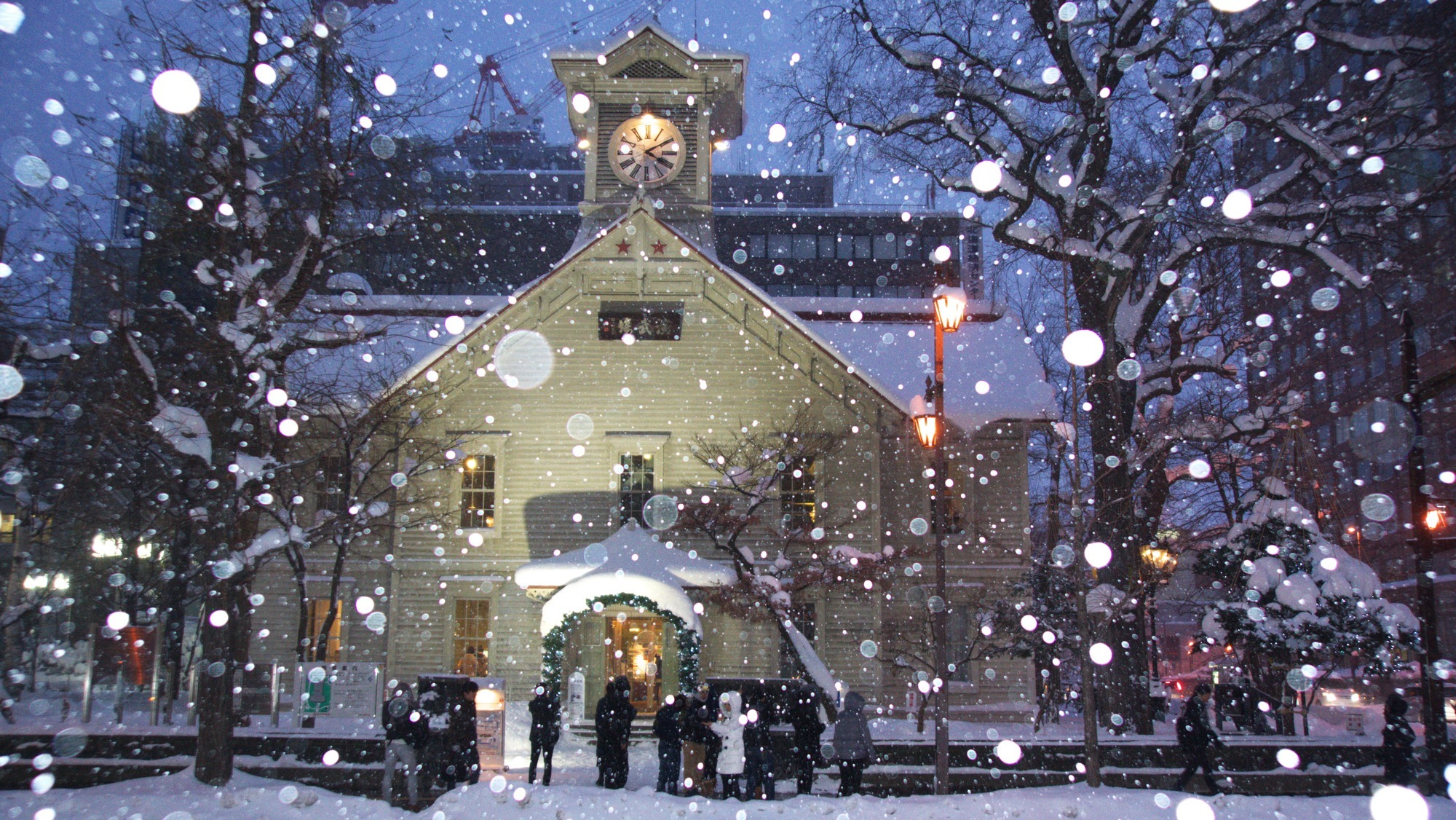 The Warmth of the North that Lights Up Your Heart
