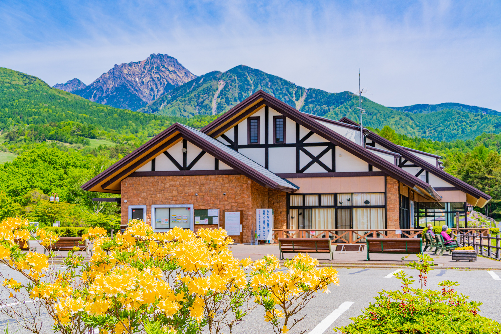 A Highland Retreat of Forests, Springs, and Starry Skies